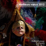 Voeux 2012 – 5
